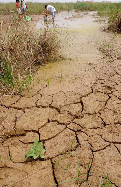 1718242464151713.jpg 1718242464151713.jpg